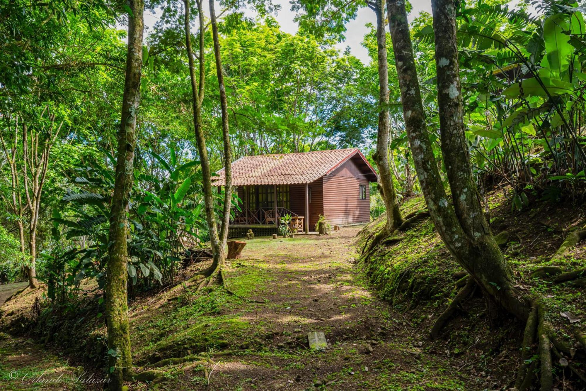 Hospedaje La Naciente Turrialba Exterior photo