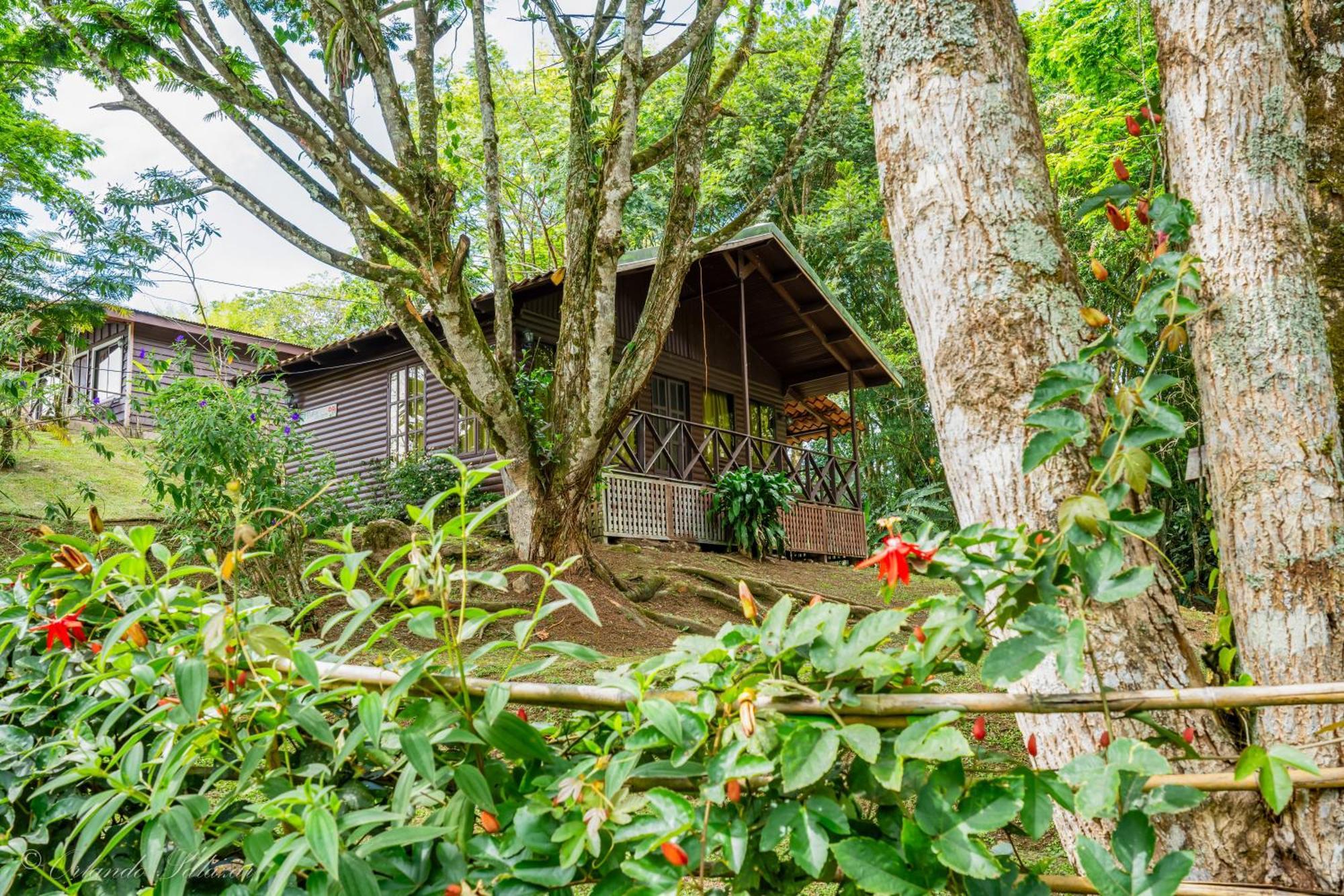 Hospedaje La Naciente Turrialba Exterior photo